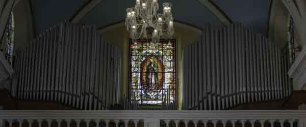 Organ