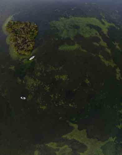 Tranquil Waters